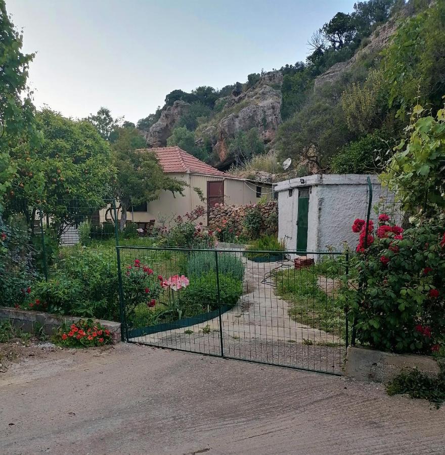 House Of Monachogios, Agios Fokas, Monemvassia Lejlighed Monemvasía Eksteriør billede