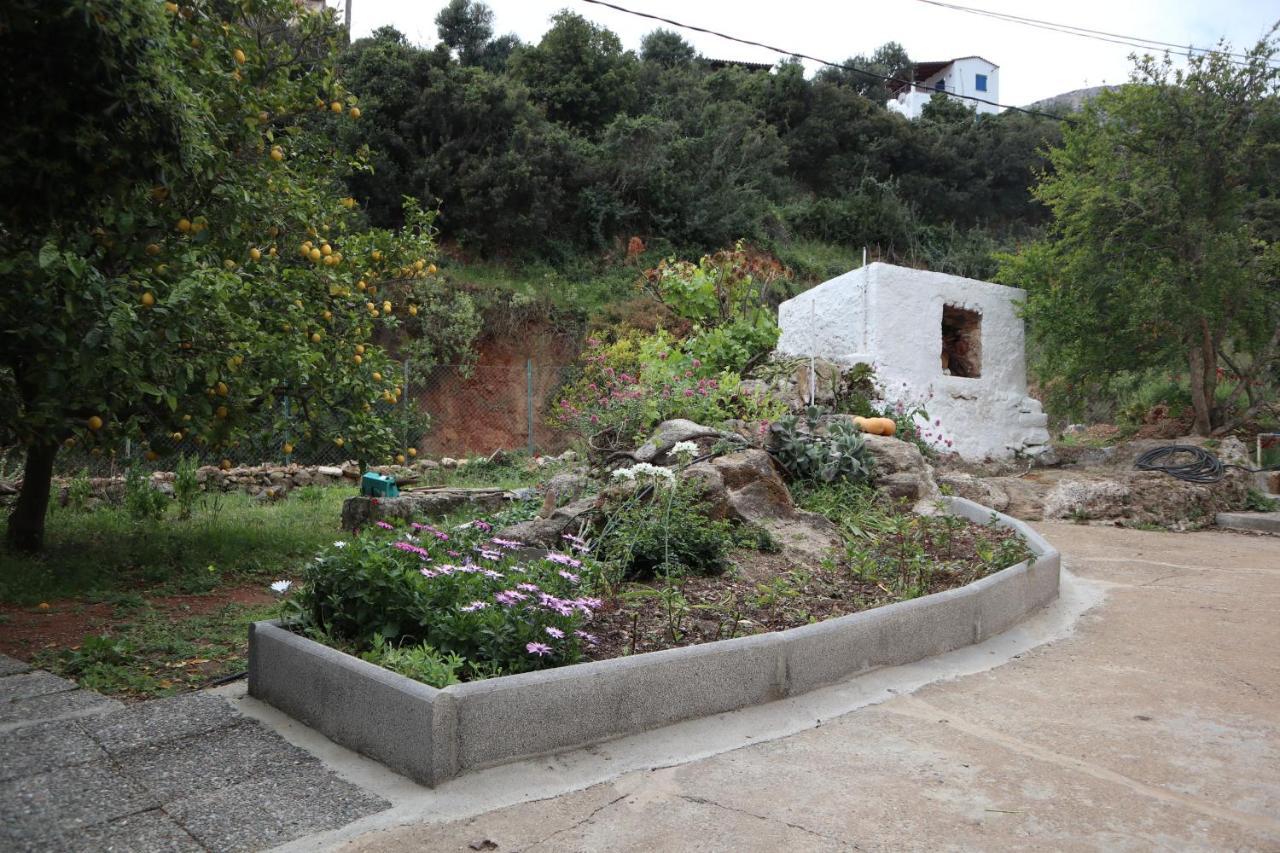 House Of Monachogios, Agios Fokas, Monemvassia Lejlighed Monemvasía Eksteriør billede